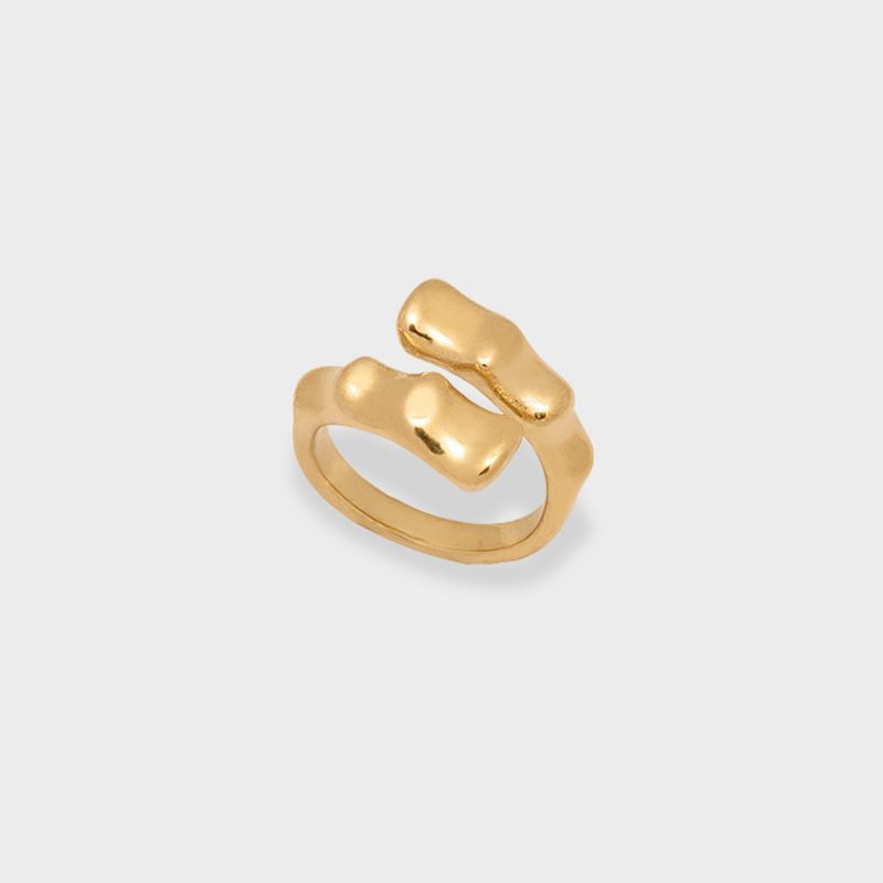 Anillo Nature