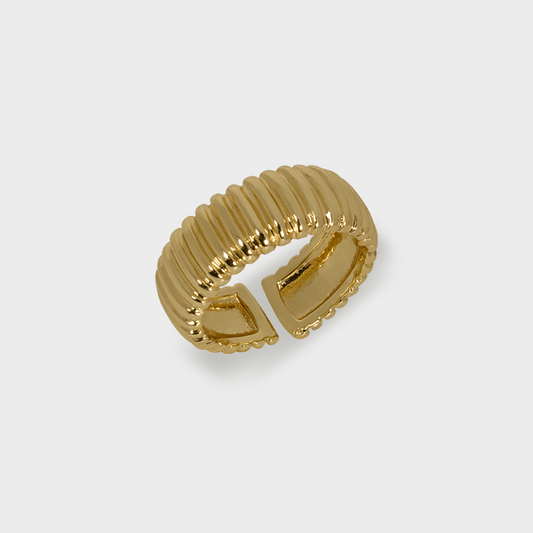 Anillo Ajustable Textura de Chapa (TB1C047)