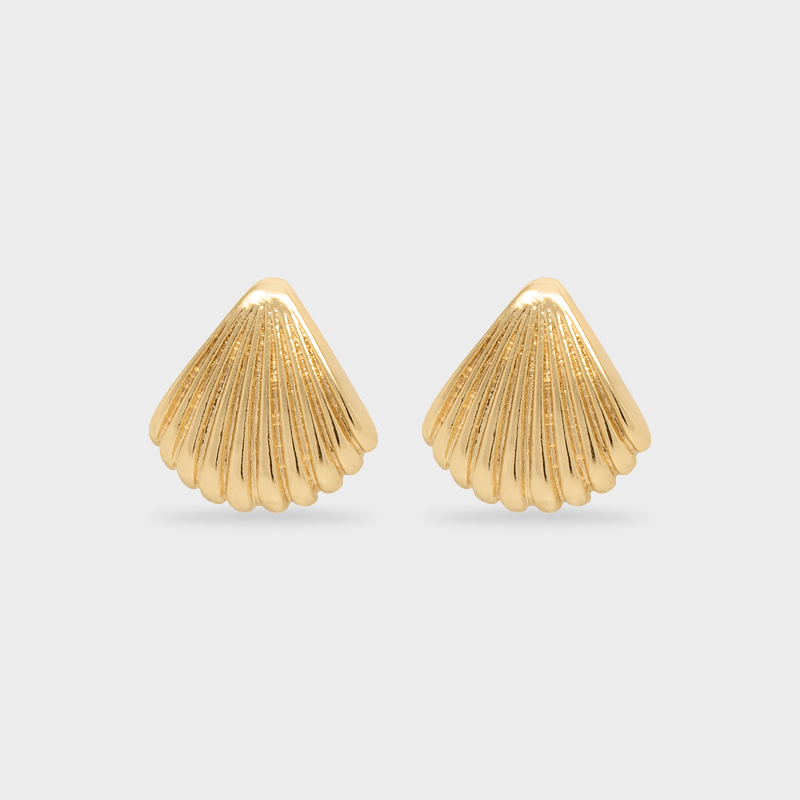 Aretes Vieira