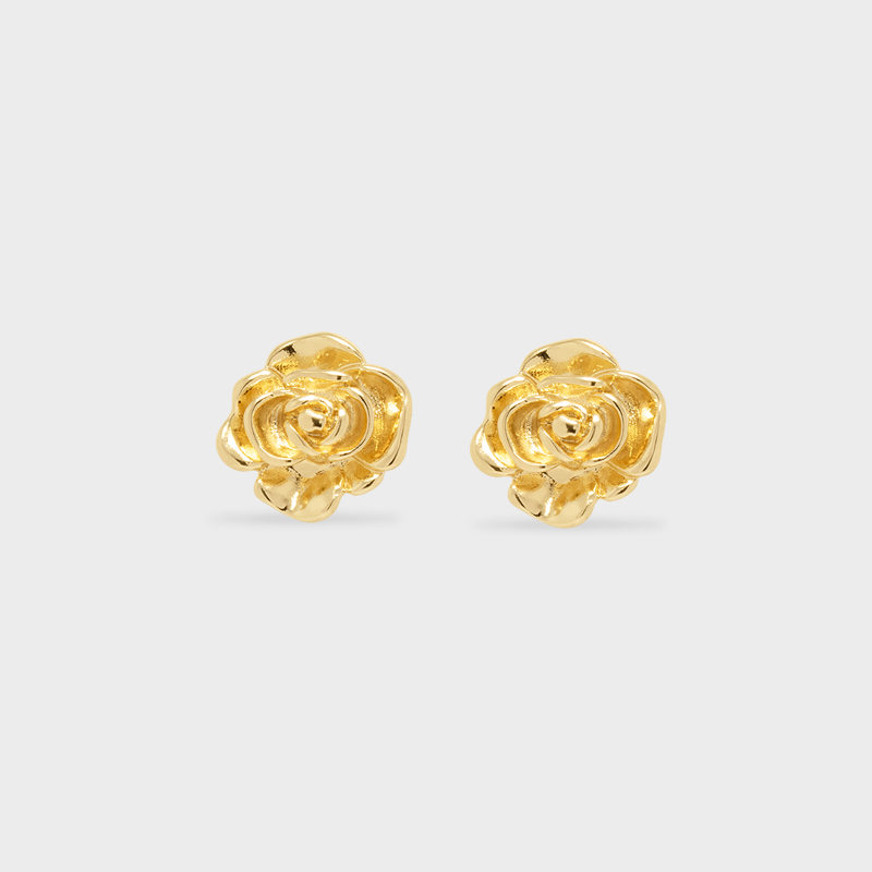 Aretes Rosa