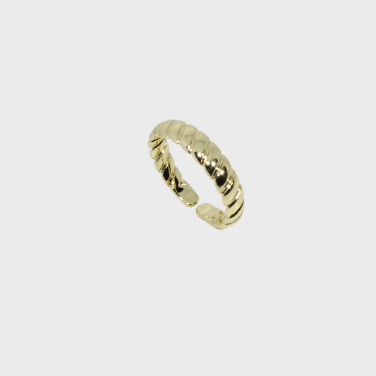 Anillo Ajustable de Chapa (TB1C028)